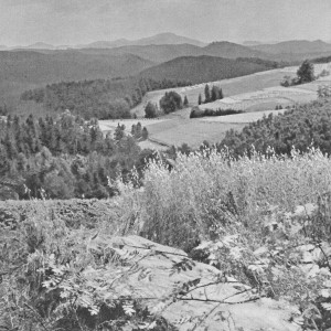 收聽Shuta Yasukochi的Particle歌詞歌曲