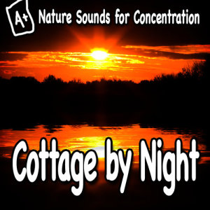 ดาวน์โหลดและฟังเพลง Evening Nature Sounds to Improve Your Concentration พร้อมเนื้อเพลงจาก Study Music