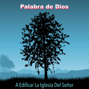 Palabra de Dios的專輯A Edificar La Iglesia Del Señor