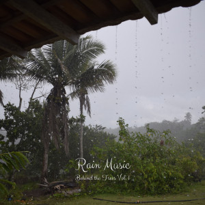 Album Rain Music: Behind the Trees Vol. 1 from Relaxing Sleep Music