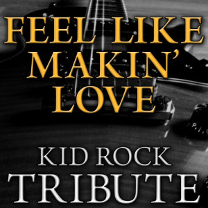 อัลบัม Feel Like Makin' Love - Kid Rock Tribute ศิลปิน The Hit Nation