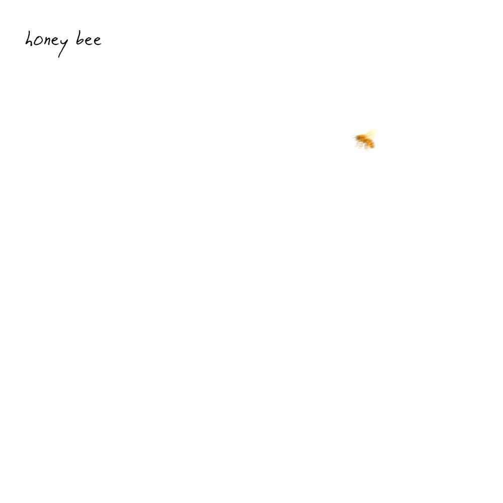 Honey Bee