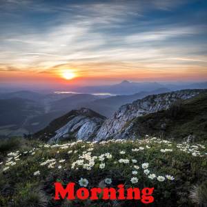 อัลบัม Morning ศิลปิน Mohamed Mohsen