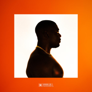 Album Aura (Explicit) from 