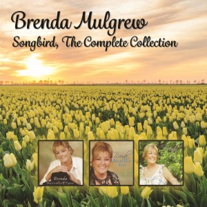 ดาวน์โหลดและฟังเพลง Wait a Minute พร้อมเนื้อเพลงจาก Brenda Mulgrew