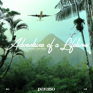 Dom Fricot的專輯Adventure Of A Lifetime (feat. Dom Fricot)