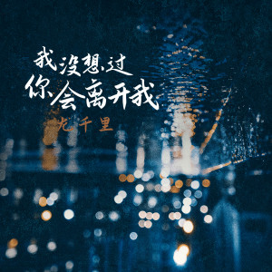 Album 我没想过你会离开我 oleh 龙千里