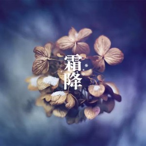 Listen to 霜降 (完整版) song with lyrics from 杨丽夫Youngleaf