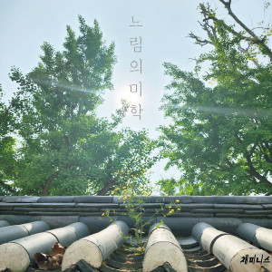 Album 느림의 미학 (slow art) [Explicit] from Chappiness