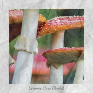 Various的專輯Ceramic Elves Playlist