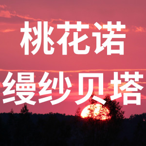 Listen to 桃花诺 (cover: 艾辰) (完整版) song with lyrics from 缦纱贝塔