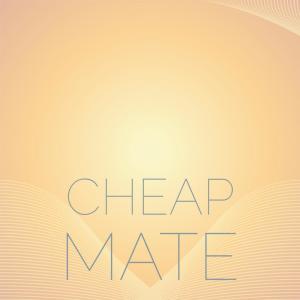 Cheap Mate dari Various