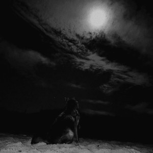 Dengarkan when it's quiet lagu dari anatu dengan lirik