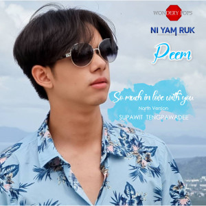 ดาวน์โหลดและฟังเพลง So much in love with you (North Version) พร้อมเนื้อเพลงจาก ดารานักร้องหลายคน