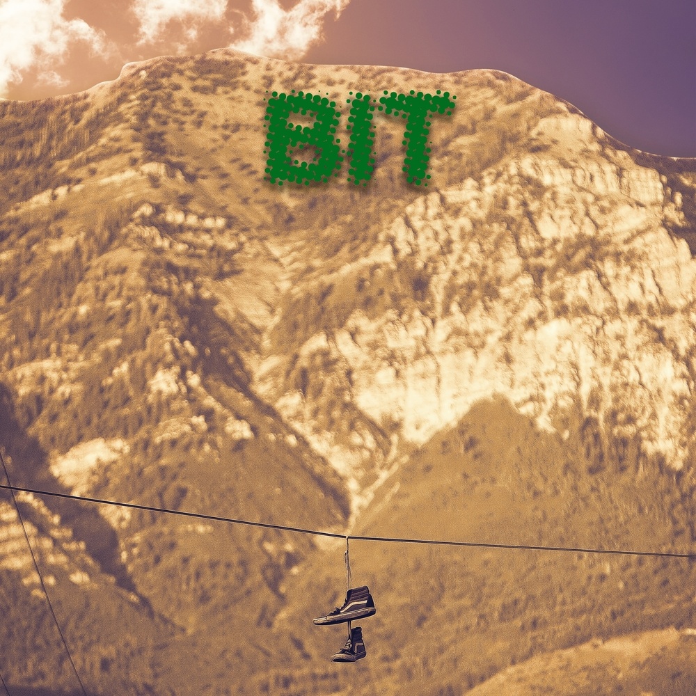 Bit