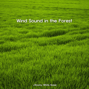 收聽J.Roomy的Wind Sound In The Forest (ASMR, Nature Sound)歌詞歌曲