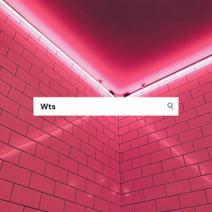 Listen to Wts (Explicit) song with lyrics from Paytra