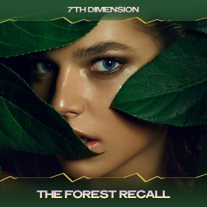 Listen to The Forest Recall (Eau Mix, 24 Bit Remastered) song with lyrics from 7th Dimension