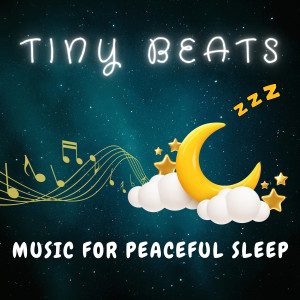 Album Tiny Beats - Music for Babies' Playtime oleh Baby Songs Orchestra