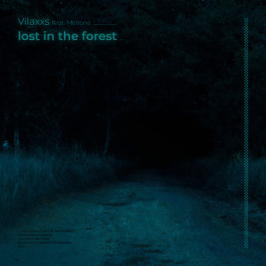 Listen to lost in the forest song with lyrics from Vilaxxs