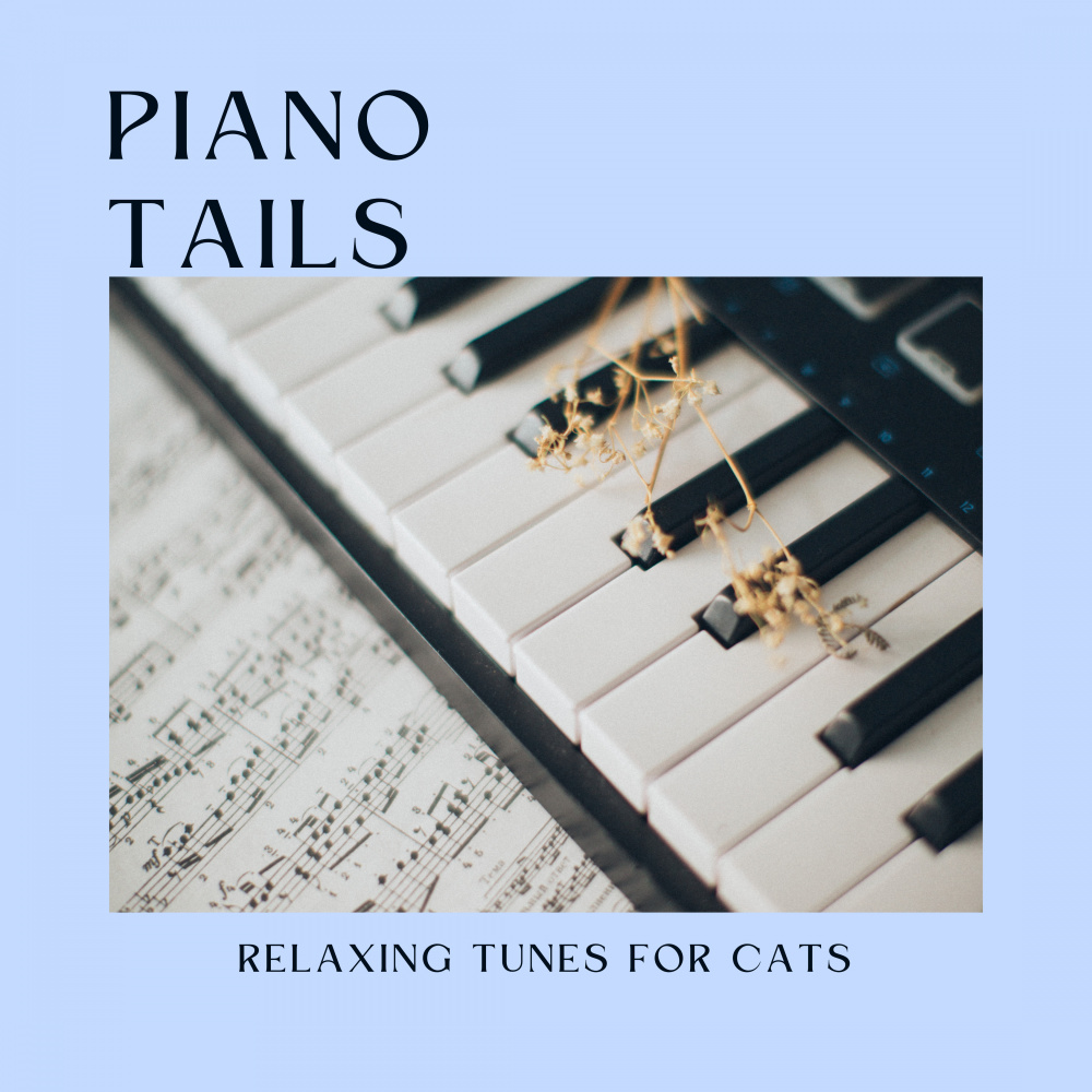 A Cat's Contentment with Piano
