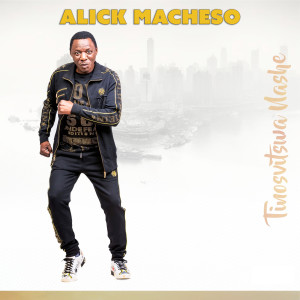 Album Tinosvitswa Nashee oleh 