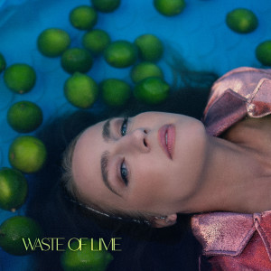 ดาวน์โหลดและฟังเพลง Waste of Lime พร้อมเนื้อเพลงจาก Ingrid Andress