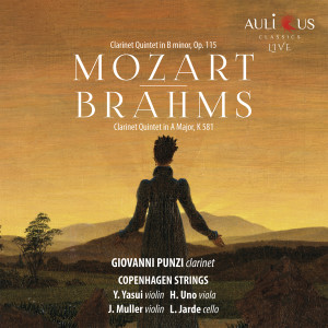 收听Giovanni Punzi的Clarinet Quintet in A Major, K. 581: II. Larghetto歌词歌曲