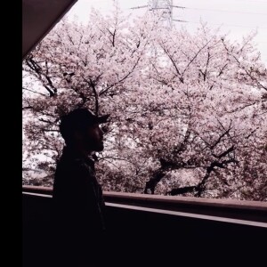 Dengarkan 一本桜 lagu dari FAL dengan lirik