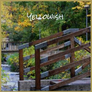 Listen to Yellowish song with lyrics from Bral Seer