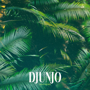 Album Walk in the Wild oleh Djunjo
