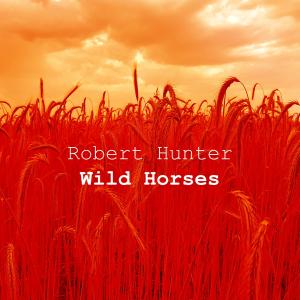 Album Wild Horses from Robert Hunter