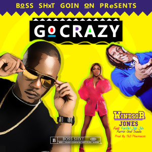 Listen to Go Crazy (Explicit) song with lyrics from Windsor Jones