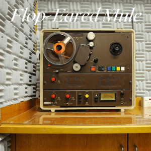 ดาวน์โหลดและฟังเพลง Flop-Eared Mule พร้อมเนื้อเพลงจาก Eric Weissberg