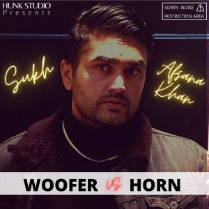 Album Woofer vs Horn from 