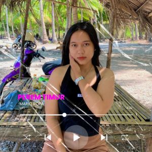 Listen to PEREM TIMUR song with lyrics from Mario Ropa