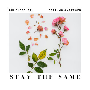收听Bri Fletcher的Stay the Same歌词歌曲