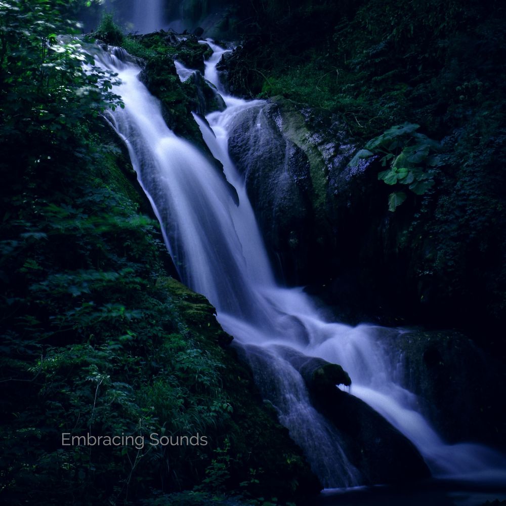 Nighttime Forest Stream
