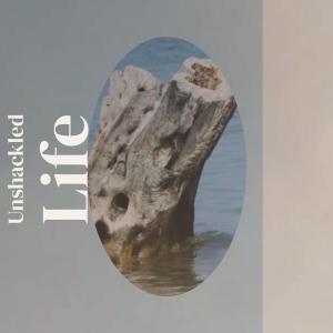收听Gleon的Unshackled Life歌词歌曲