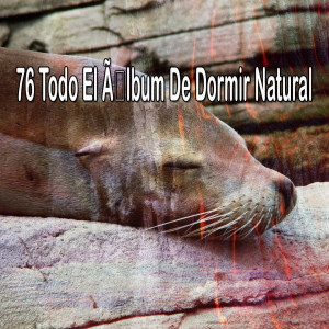Relax My Puppy的专辑76 Todo El Album De Dormir Natural