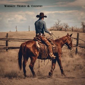 Album Whiskey Trails & Country (A Melodic Journey Through the Heart of the Lone Star State) from Whiskey Country Band