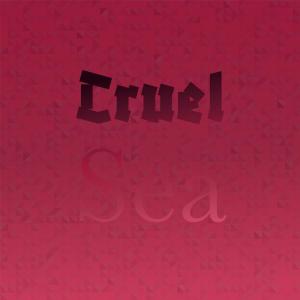 ดาวน์โหลดและฟังเพลง Cruel Sea พร้อมเนื้อเพลงจาก Billy J Kramer & The Dakotas