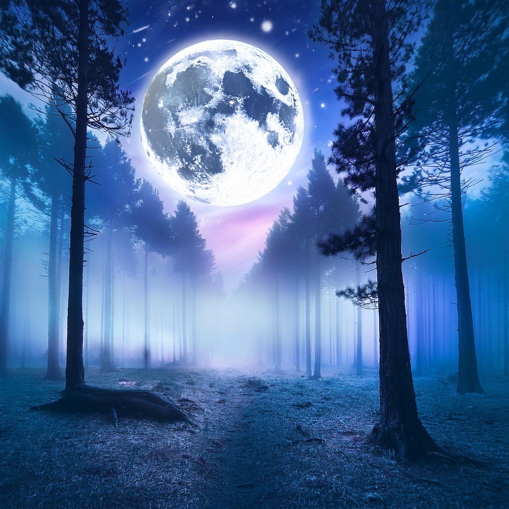 Noche Tranquila Ritmos Profundos