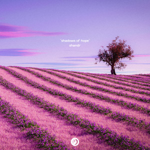 ดาวน์โหลดและฟังเพลง Shadows of Hope พร้อมเนื้อเพลงจาก shandr