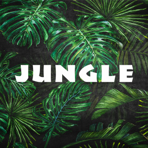 Album Jungle (Explicit) from Lyri Hardof Jaffe