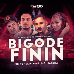 收聽Dj Cabelinho de Caxias的Bigode Finin歌詞歌曲
