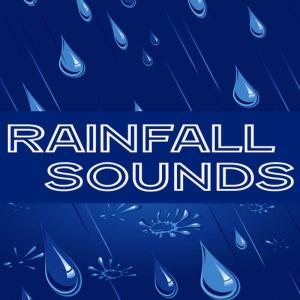 收聽Rainfall的Rainfall歌詞歌曲