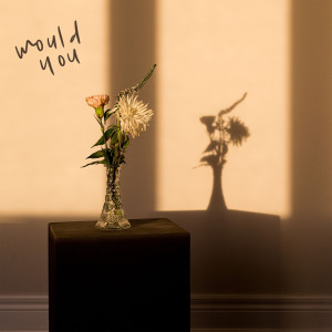 ดาวน์โหลดและฟังเพลง Would You พร้อมเนื้อเพลงจาก IVAN