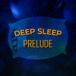 收聽Deep Sleep Meditation的Precious Moments歌詞歌曲