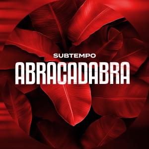 Listen to ABRACADABRA (DnB) song with lyrics from Subtempo